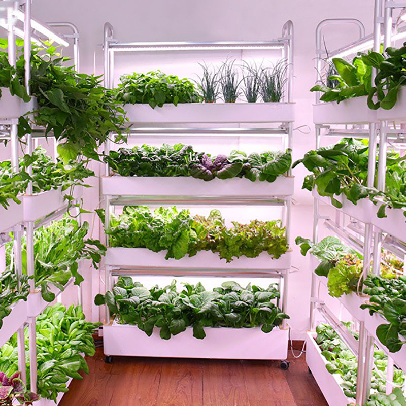 Hydroponic Tower Planter - Sistema de cultivo hidropónico Vertical inteligente