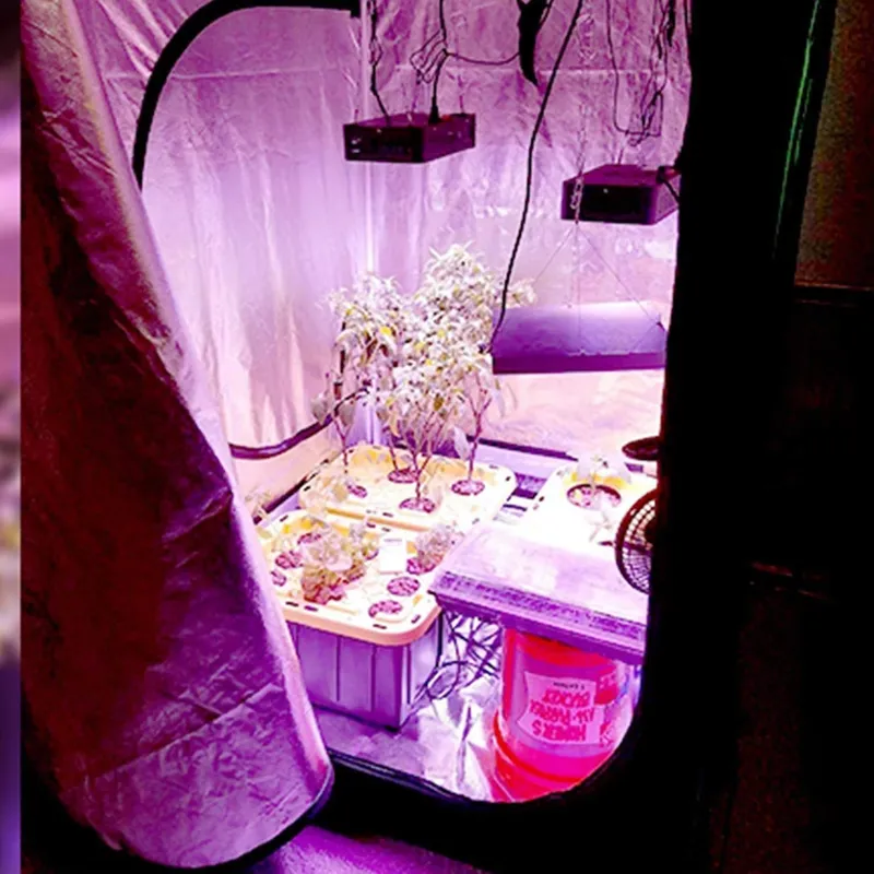 Grow Tent 4X4 - Nueva Tendencia: Carpa de Cultivo 4x4