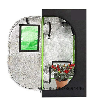 Grow Tent 4X4 - Kit Completo de Cultivo en Interior