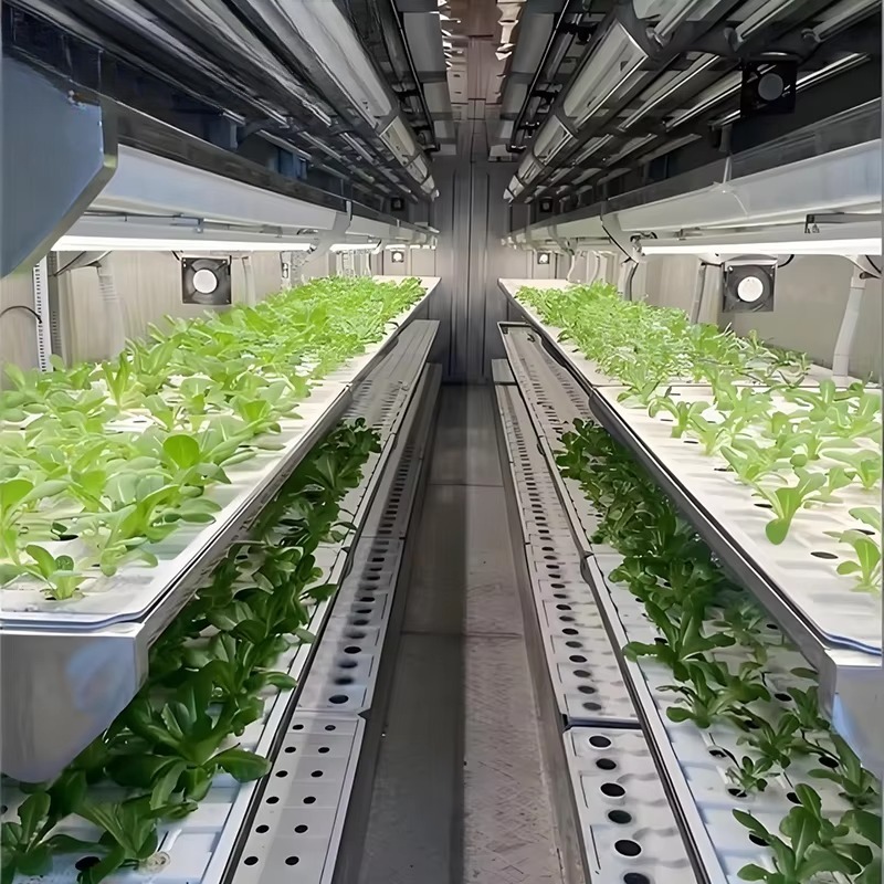 Contenedor de Cultivo Intelige - Urban Farming Hydroponic System reseña y precio