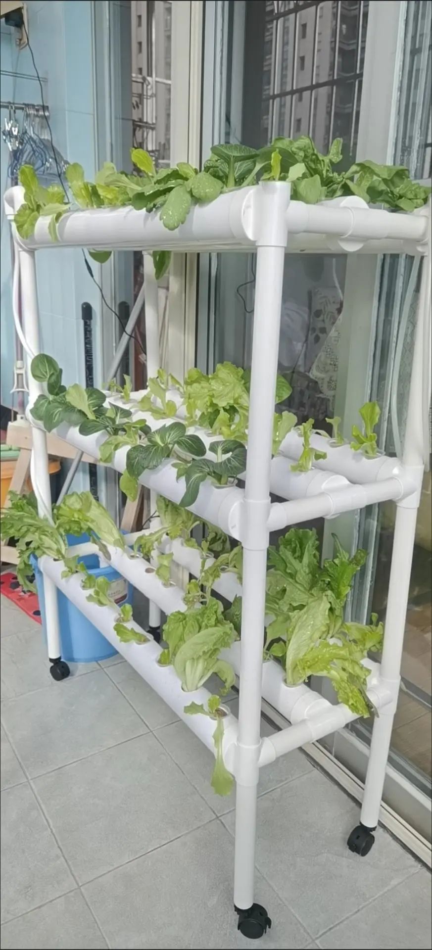 Tienda de cultivo de China, pl - Grow Tent 4X4 reseña y precio