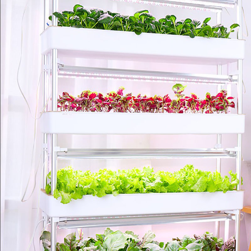 Sistema de cultivo hidropónico - Hydroponic Tower Planter reseña y precio