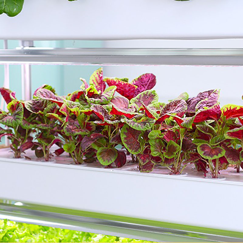 Sistema de cultivo hidropónico - Hydroponic Tower Planter reseña y precio