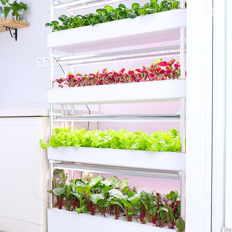 Sistema de cultivo hidropónico - Hydroponic Tower Planter reseña y precio