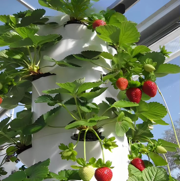 Sistema modular de cultivo hid - Urban Farming Hydroponic System reseña y precio