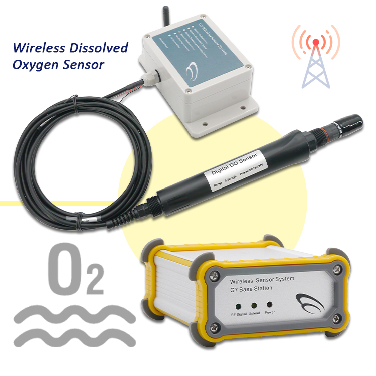 NUEVO Analizador de Tratamient - Do Oxygen Meter reseña y precio