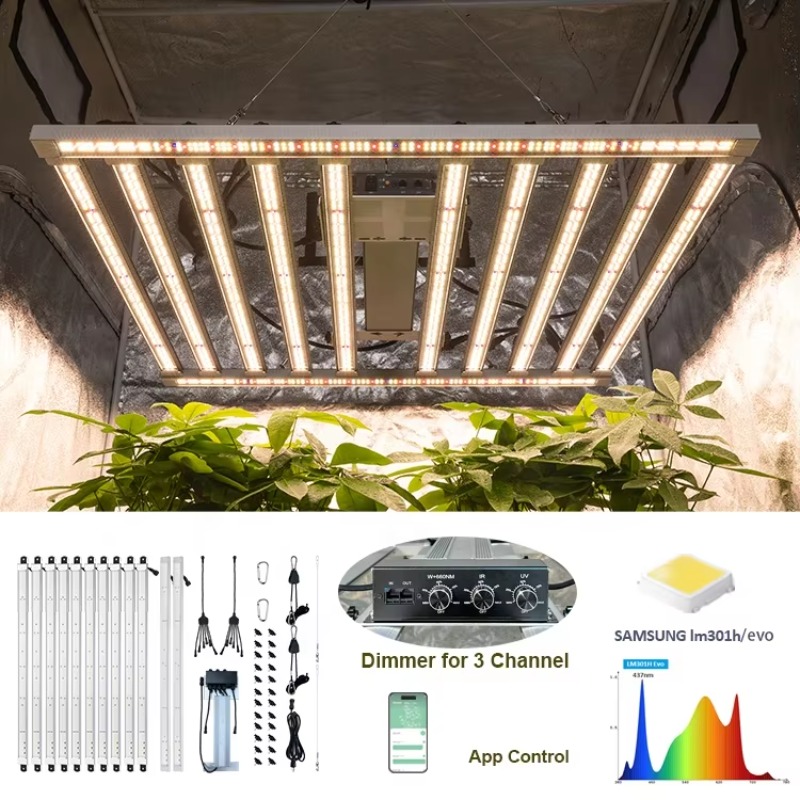 Kit completo de tienda de cult - Grow Tent 4X4 reseña y precio