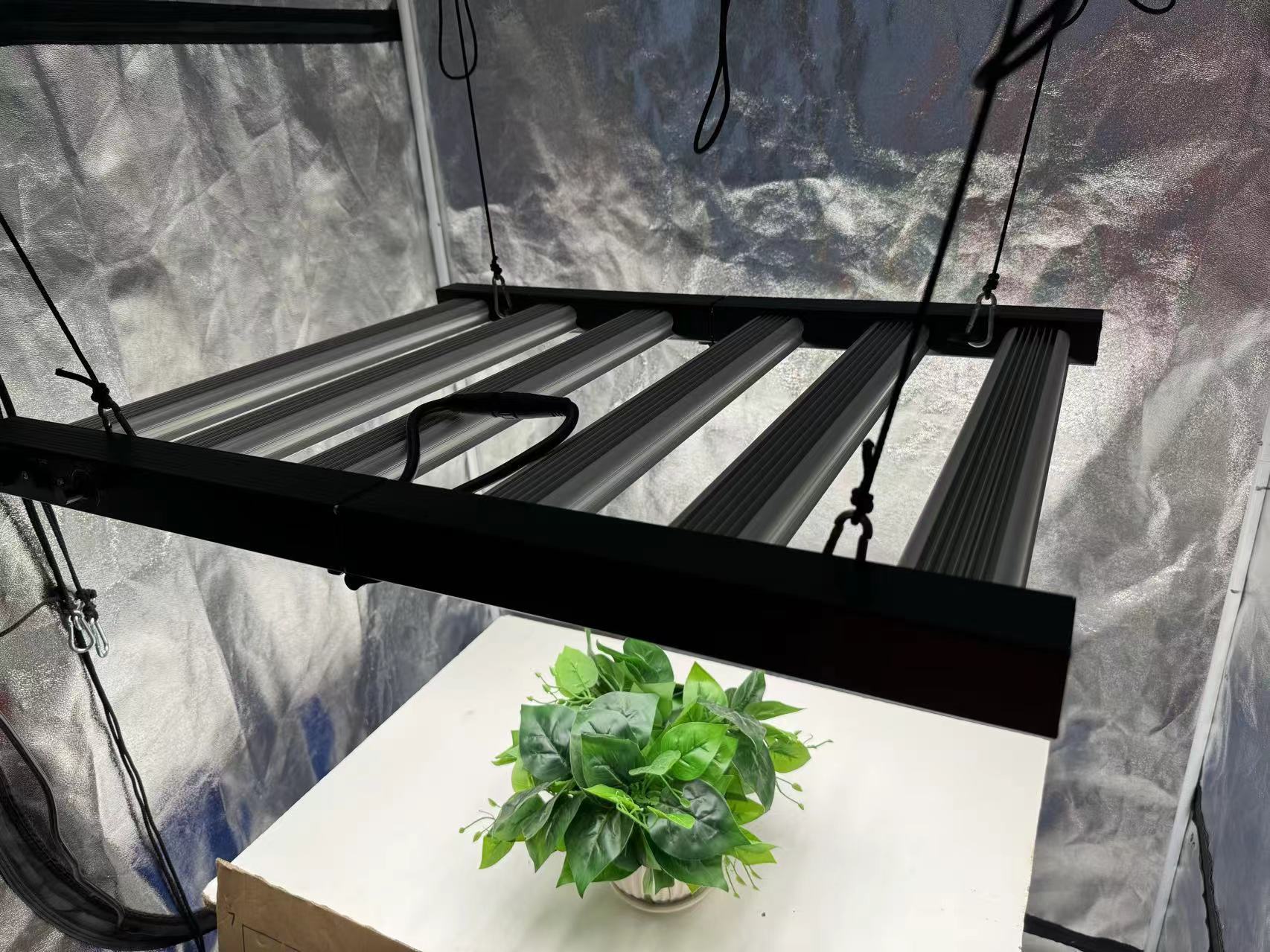 Kit Completo de Cultivo en Int - Grow Tent 4X4 reseña y precio